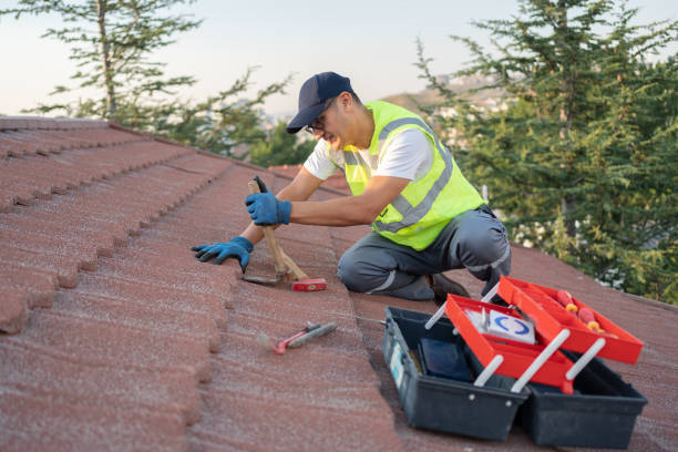 Best Roof Gutter Cleaning  in West Union, OH