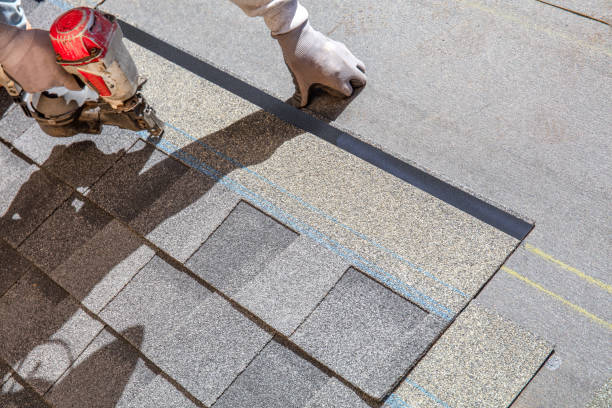 Best Metal Roofing Contractor  in West Union, OH