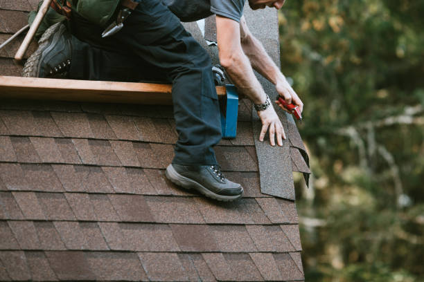 Best Roof Maintenance Services  in West Union, OH