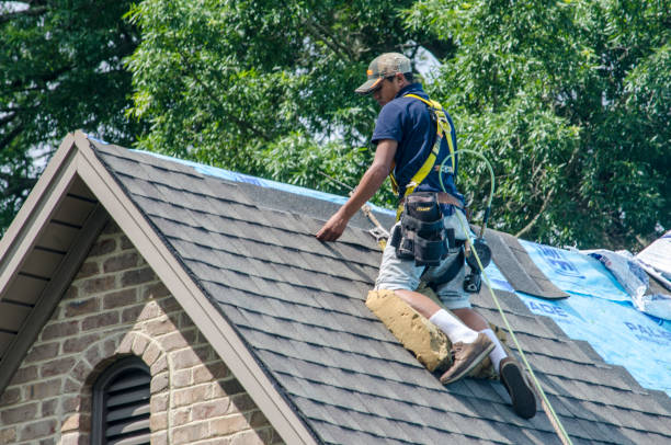 Best Storm Damage Roof Repair  in West Union, OH